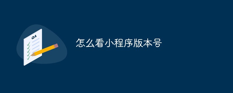 仰山鄉怎么看小程序版本號